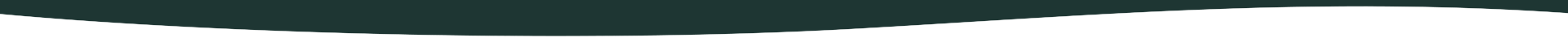 wave_9_footer_reverse
